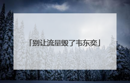 别让流量毁了韦东奕