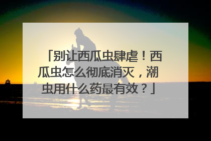 别让西瓜虫肆虐！西瓜虫怎么彻底消灭，潮虫用什么药最有效？