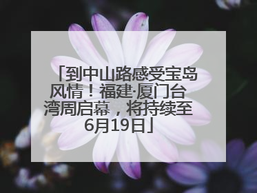 到中山路感受宝岛风情！福建·厦门台湾周启幕，将持续至6月19日