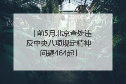 前5月北京查处违反中央八项规定精神问题464起