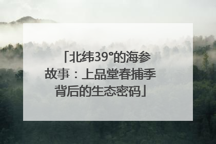 北纬39°的海参故事：上品堂春捕季背后的生态密码