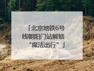 北京地铁6号线朝阳门站解锁“魔法出行”