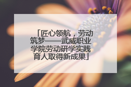 匠心领航，劳动筑梦——武威职业学院劳动研学实践育人取得新成果