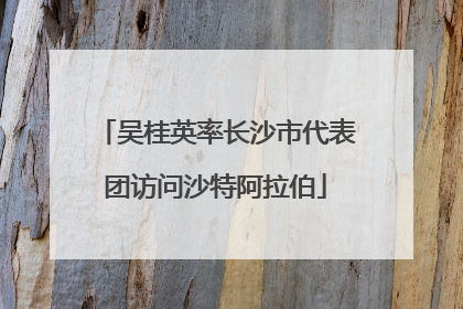 吴桂英率长沙市代表团访问沙特阿拉伯