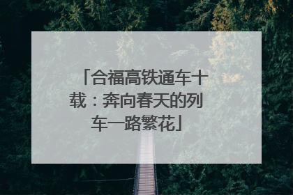合福高铁通车十载：奔向春天的列车一路繁花