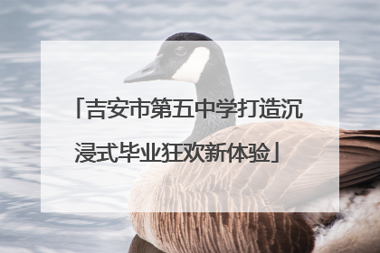 吉安市第五中学打造沉浸式毕业狂欢新体验