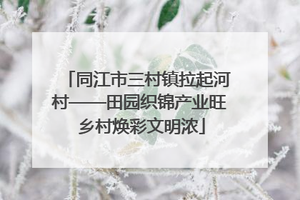 同江市三村镇拉起河村——田园织锦产业旺 乡村焕彩文明浓