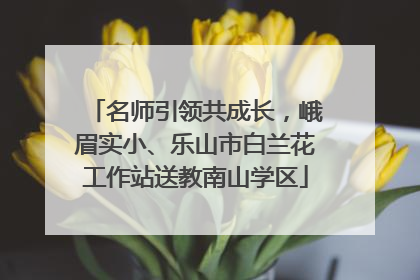 名师引领共成长，峨眉实小、乐山市白兰花工作站送教南山学区