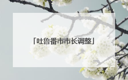 吐鲁番市市长调整
