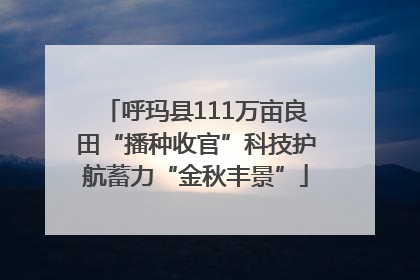 呼玛县111万亩良田“播种收官”科技护航蓄力“金秋丰景”