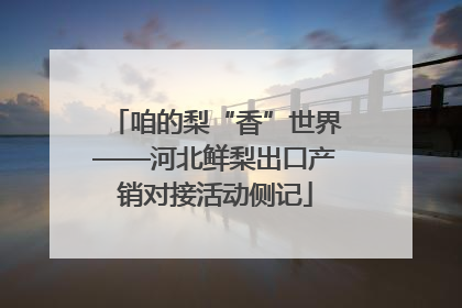 咱的梨“香”世界——河北鲜梨出口产销对接活动侧记