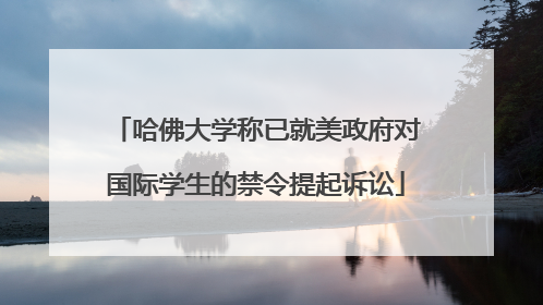 哈佛大学称已就美政府对国际学生的禁令提起诉讼