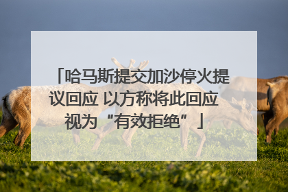 哈马斯提交加沙停火提议回应 以方称将此回应视为“有效拒绝”