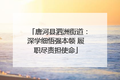 唐河县泗洲街道：深学细悟强本领 履职尽责担使命