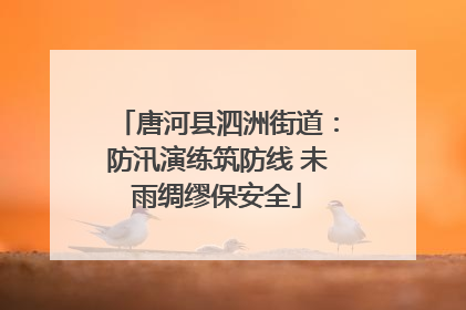 唐河县泗洲街道：防汛演练筑防线 未雨绸缪保安全