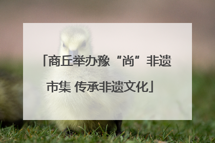 商丘举办豫“尚”非遗市集 传承非遗文化