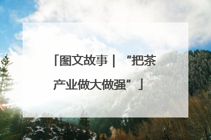 图文故事｜“把茶产业做大做强”
