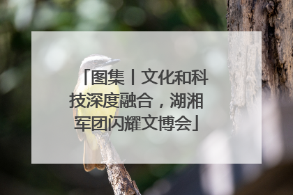 图集丨文化和科技深度融合，湖湘军团闪耀文博会