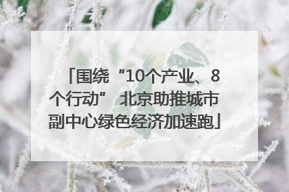 围绕“10个产业、8个行动” 北京助推城市副中心绿色经济加速跑