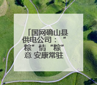 国网确山县供电公司：“粽”情“粽”意 安康常驻端午