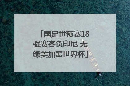 国足世预赛18强赛客负印尼 无缘美加墨世界杯