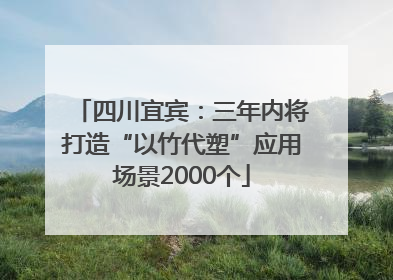 四川宜宾：三年内将打造“以竹代塑”应用场景2000个