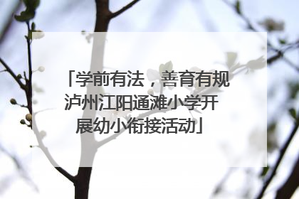 学前有法，善育有规 泸州江阳通滩小学开展幼小衔接活动