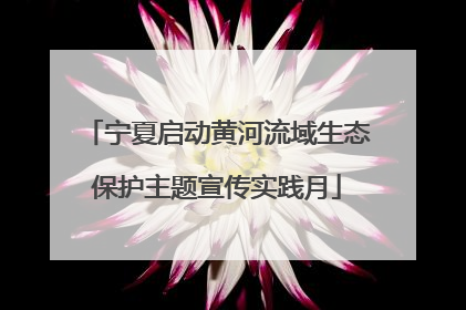 宁夏启动黄河流域生态保护主题宣传实践月