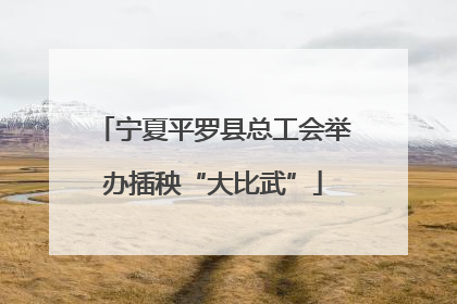 宁夏平罗县总工会举办插秧“大比武”