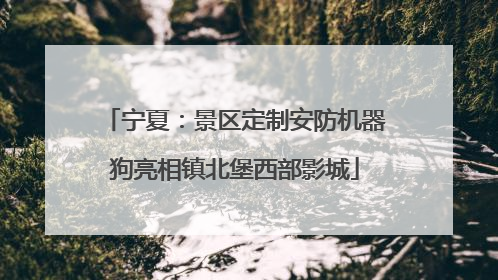 宁夏：景区定制安防机器狗亮相镇北堡西部影城