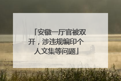 安徽一厅官被双开，涉违规编印个人文集等问题