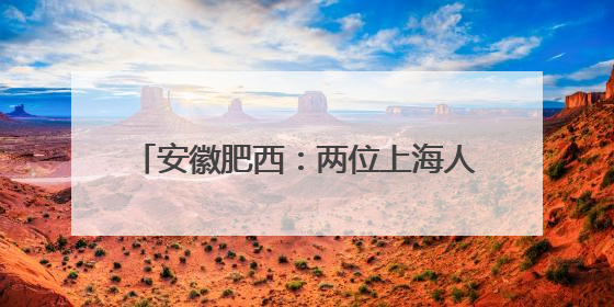 安徽肥西：两位上海人“链上”肥西的背后