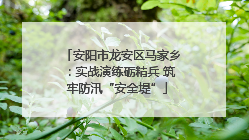 安阳市龙安区马家乡：实战演练砺精兵 筑牢防汛“安全堤”