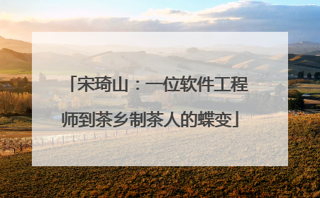 宋琦山：一位软件工程师到茶乡制茶人的蝶变