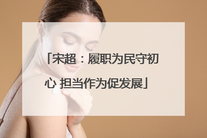 宋超：履职为民守初心 担当作为促发展
