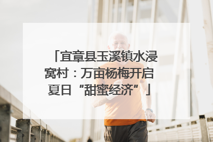 宜章县玉溪镇水浸窝村：万亩杨梅开启夏日“甜蜜经济”