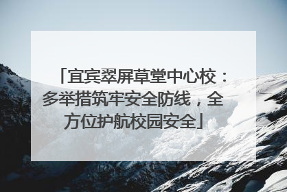 宜宾翠屏草堂中心校：多举措筑牢安全防线，全方位护航校园安全