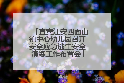宜宾江安四面山镇中心幼儿园召开安全应急逃生安全演练工作布置会