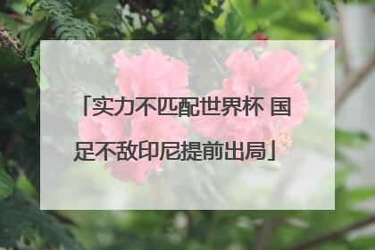 实力不匹配世界杯 国足不敌印尼提前出局