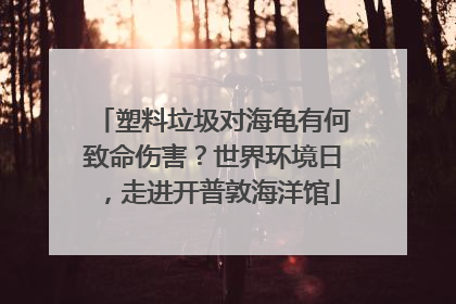 塑料垃圾对海龟有何致命伤害？世界环境日，走进开普敦海洋馆