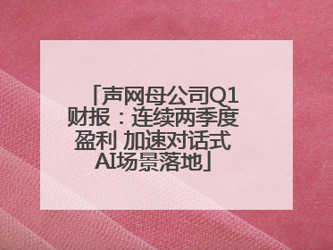 声网母公司Q1财报：连续两季度盈利 加速对话式AI场景落地