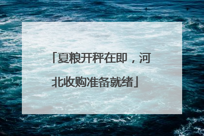 夏粮开秤在即，河北收购准备就绪