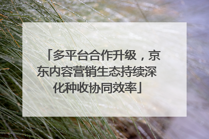 多平台合作升级，京东内容营销生态持续深化种收协同效率