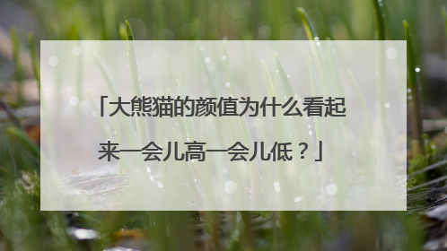 大熊猫的颜值为什么看起来一会儿高一会儿低？