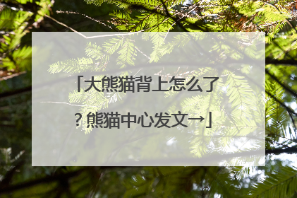大熊猫背上怎么了？熊猫中心发文→