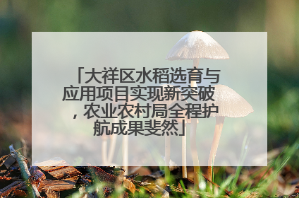 大祥区水稻选育与应用项目实现新突破，农业农村局全程护航成果斐然