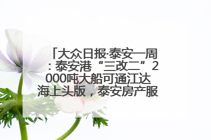 大众日报·泰安一周：泰安港“三改二”2000吨大船可通江达海上头版，泰安房产服务改革经验全省推广