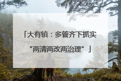 大有镇：多管齐下抓实“两清两改两治理”