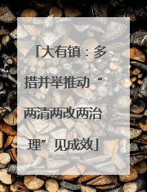 大有镇：多措并举推动“两清两改两治理”见成效