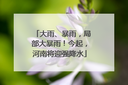 大雨、暴雨，局部大暴雨！今起，河南将迎强降水